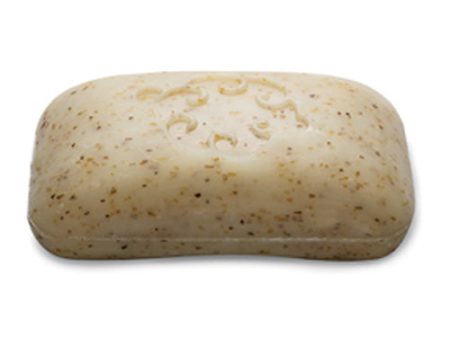 BAUDELAIRE - Essence Loofa Spice Guest Soap - 5 oz. Sale