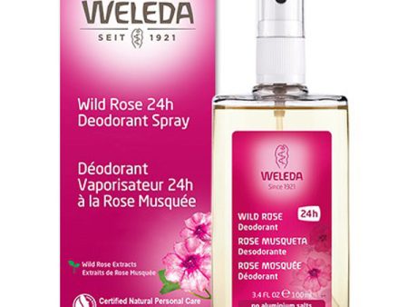 WELEDA - Wild Rose 24H Deodorant - 3.4 fl. oz. (100 ml) For Sale